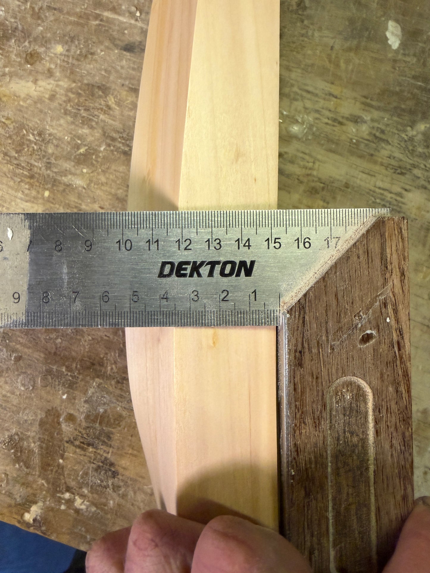 Grade 1 SH - 2lb 10oz